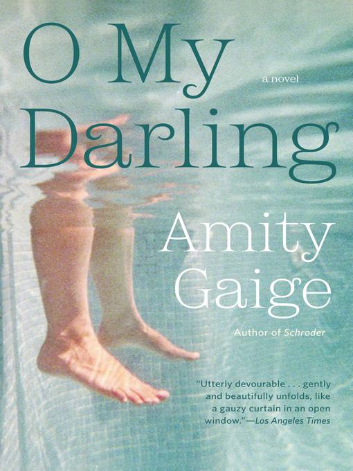 Title details for O My Darling by Amity Gaige - Available